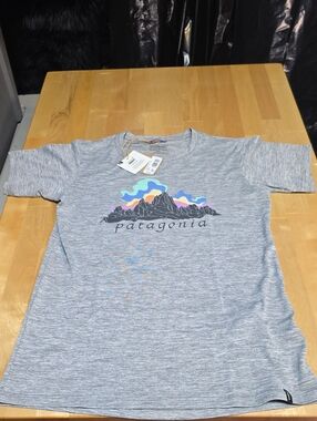 Patagonia Light Gray Heather Tee with Multicolor Mountain Graphic